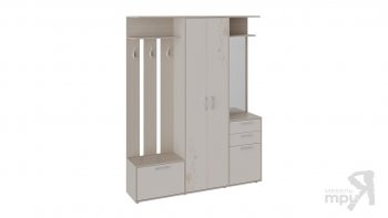 Набор мебели для прихожей «Витра» Тип 2(трия) в Купино - mebel154.com