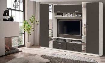 ШМЦ Вена 91.01 с зеркалом в Купино - mebel154.com