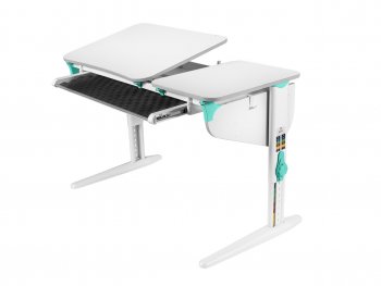 Растущий стол с лотком с 5 лет СУТ.45 с лотком в Купино - mebel154.com