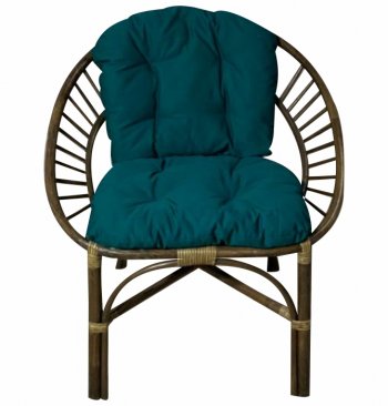 Кресло RJG-Princess (Ротанг №6, ткань JPN DRILL 034) в Купино - mebel154.com
