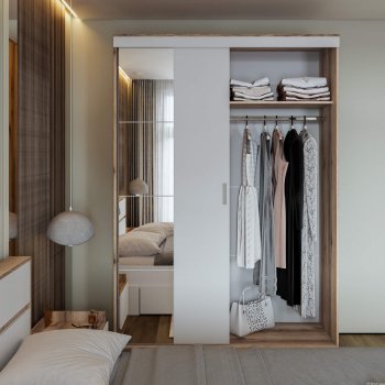 Шкаф-купе Брауни 1.5м в Купино - mebel154.com