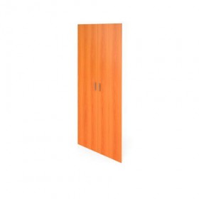 Двери В-866 (ВД-866,ВФ-866) в Купино - mebel154.com