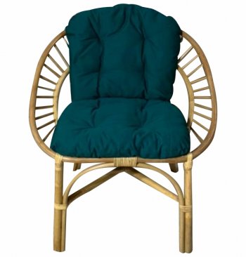 Кресло RJG-Princess (Ротанг №4, ткань JPN DRILL 034) в Купино - mebel154.com