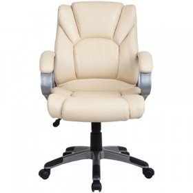Кресло офисное BRABIX Eldorado EX-504 в Купино - mebel154.com