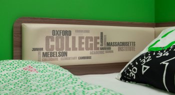 Кровать софа с ящиками Колледж в Купино - mebel154.com