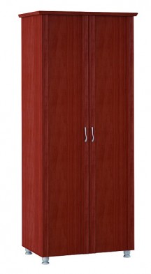 Шкаф для одежды 2-х дверный 3 Элегия в Купино - mebel154.com