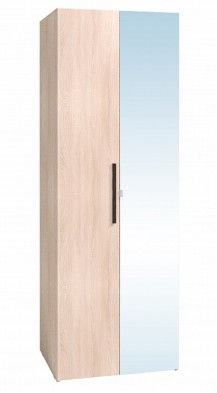 Шкаф для одежды 2-х дверный 8 Bauhaus в Купино - mebel154.com