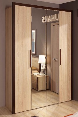Шкаф для одежды 2-х дверный 9 Bauhaus в Купино - mebel154.com