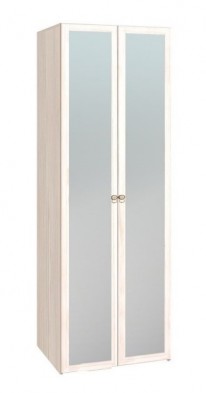 Шкаф для одежды 2-х дверный с зеркалом 54-2 Бриз в Купино - mebel154.com