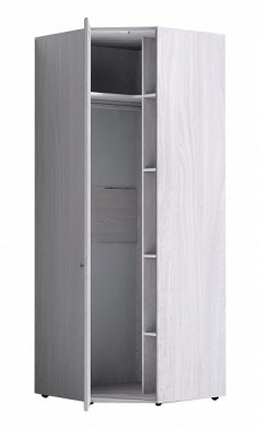 Шкаф для одежды угловой 56-2 Paola в Купино - mebel154.com
