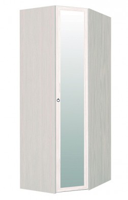 Шкаф для одежды угловой с зеркалом 56-2 Марсель в Купино - mebel154.com
