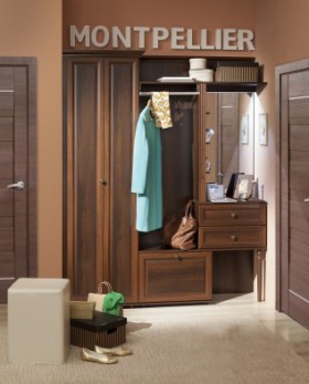 Шкаф для прихожей МЦН 2 Montpellier в Купино - mebel154.com