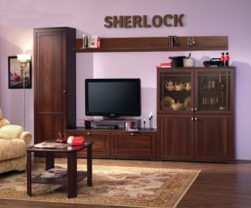 Шкаф МЦН 2 Sherlock  в Купино - mebel154.com